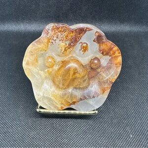 Golden healer Paw print